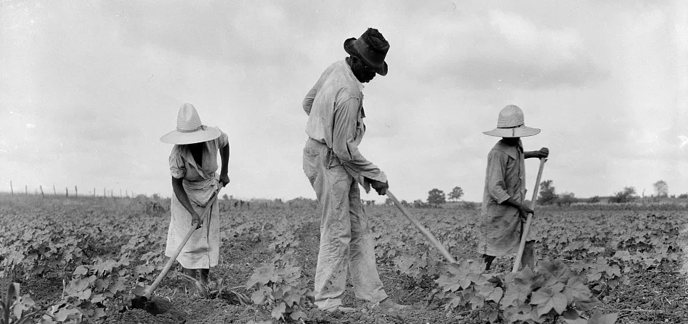 The Southern Resilience Collection